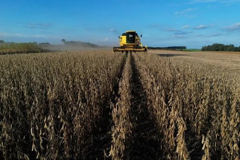 Agro tenta se afastar da polarização política após anos de desgaste