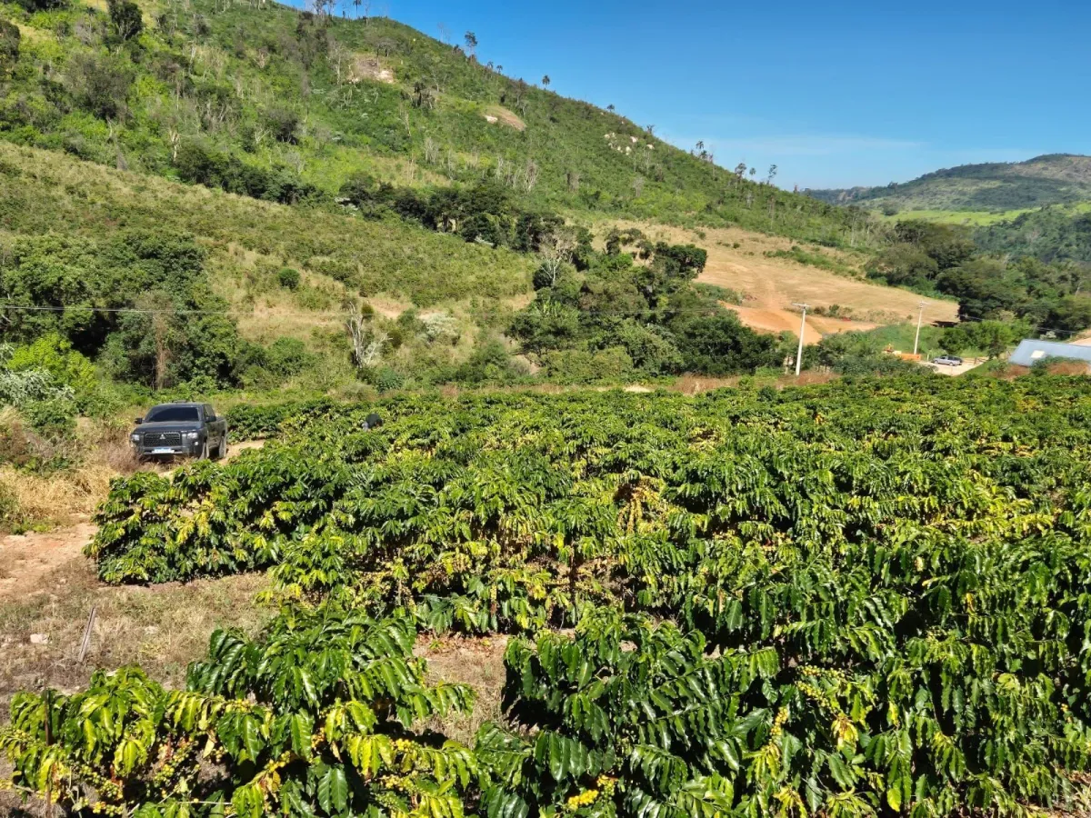 Imagem global do agro é melhor entre setores, mas falta comunicação